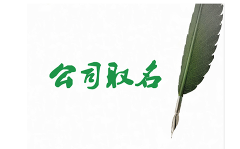 河南掌上名稱自主申報(bào)字號(hào)行業(yè)組織形式怎么填？